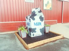 a cow statue sitting in the middle of a parking lot next to some planters