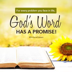 an open book sitting on top of a table next to a sunflower with the words god's word has a promise