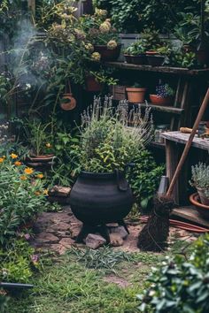 an outdoor garden with potted plants on the ground