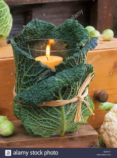 a candle that is sitting in some kind of potted plant with leaves on it