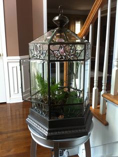 a glass lantern with plants in it sitting on top of a wooden floor next to stairs