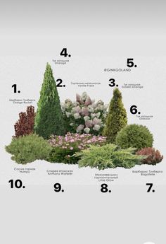 a garden with different types of plants and numbers on the front page, including trees