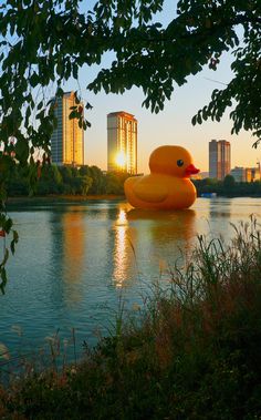 a large rubber duck floating on top of a lake next to tall buildings in the background