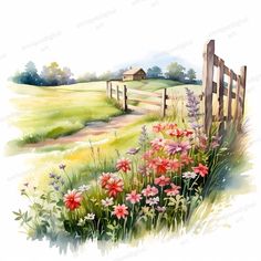 a watercolor painting of flowers and a fence in the grass with a barn in the background