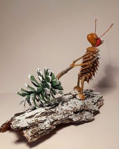 an insect is standing on top of a piece of wood and holding a pine cone