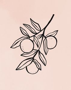 an olive branch with two oranges and leaves on a light pink background in black ink