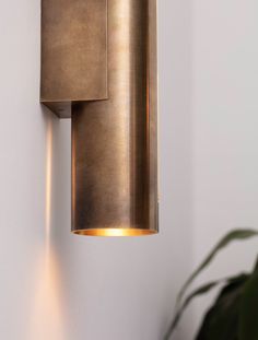 a modern light fixture mounted on the wall next to a potted plant in a white room