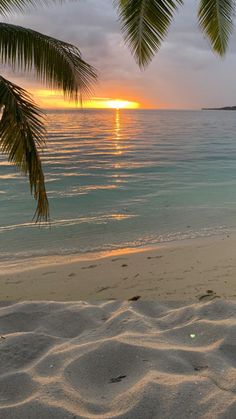 the sun is setting over the ocean with palm trees on the beach and water in the foreground