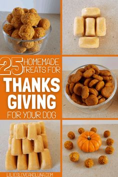 there are many different treats for thanksgiving giving