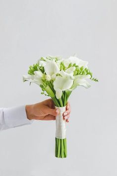 a hand holding a bouquet of white flowers