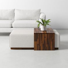 a white couch sitting next to a table with a potted plant on top of it