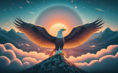 Eagle on a top of a mountain spreading his wings to fly and touch the boundaries of the sky. Wings To Fly, Touch The Sky, Top Of A Mountain, Brushing, Boundaries, The Sky, Quick Saves