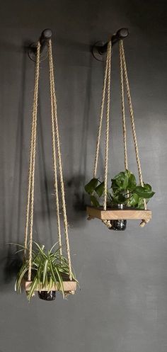 Rope Plant Hanger Butik Design, Mason Jar Planter, Indoor Plant Wall, نباتات منزلية, Hanging Plant Wall, Diy Plant Hanger, Plant Decor Indoor, House Plants Decor, Hanging Plant