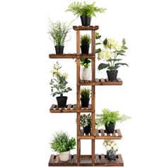 a wooden shelf filled with potted plants