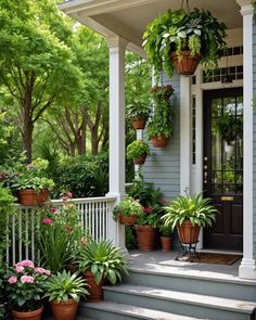 some potted plants are sitting on the front steps of a house with white railings