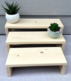 two wooden step stools with a potted succulent sitting on one side