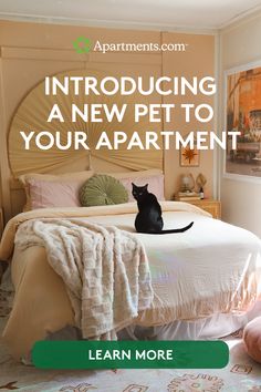 a cat sitting on top of a bed in a bedroom