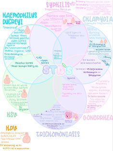 a venn diagram with the words and symbols in different languages