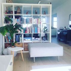 a living room filled with furniture and a bookshelf full of lots of books