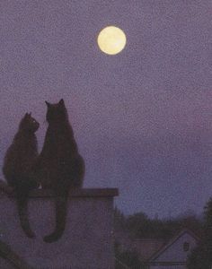 two cats sitting on top of a roof looking at the moon