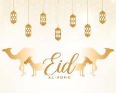 an eid greeting card with camels and lanterns