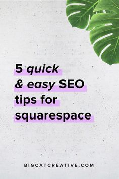 a plant with the words 5 quick & easy seo tips for squarespace on it