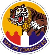 the emblem of the air command is shown in this image, with an eagle and tiger on it's chest