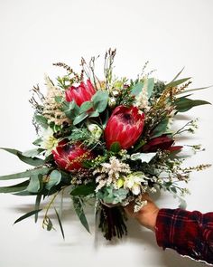 a bouquet of flowers is being held by a person's hand on a white background