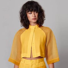 Sheer Sleeves Crop - Space to Show Sheer Orange Top, Raglan Sleeve Design, Crop Tops With Sleeves, Unusual Sleeves, Bee Project, Raglan Sleeve Blouse, Raglan Sleeve Dress, Fun Sleeves, Different Sleeves Style