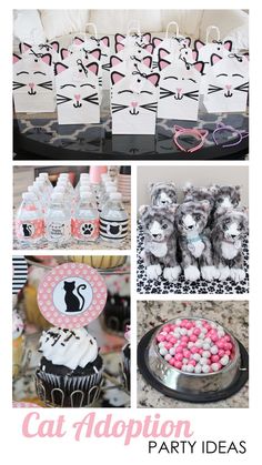 cat themed party ideas including cupcakes, candy bags and treats for the cats