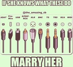 there are many different types of electrical plugs in this poster, and the caption reads if she knows what these do