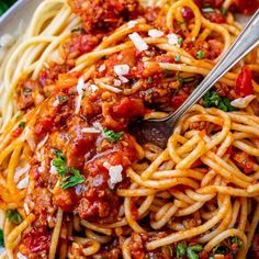 spaghetti with meat sauce and parmesan cheese on top