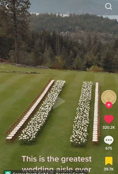 an image of a field with flowers on it and the text, this is the greatest wedding aisle ever