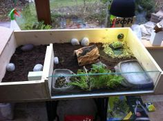 an indoor garden with plants and rocks in the middle, on a table next to a window