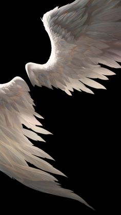 two white angel wings on a black background