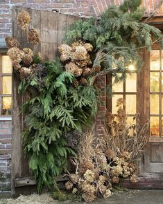 a bunch of plants that are on the side of a building in front of a window