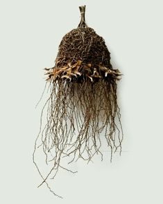 an image of roots hanging on the wall with water droplets coming out of their roots