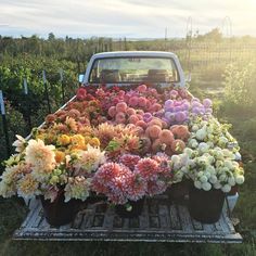 an old truck filled with lots of flowers