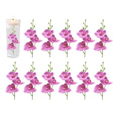 PRICES MAY VARY. Pu & Plastic USAGE -These mini artificial flowers are great for floating candle centerpiece, setting on dinning table, they are beautiful and romantic in water with candle’s light.An impressive and eye attractiive item to your guest. PERFECT SIZE - The Measure of the butterfly orchid is 3.5 inch wide x 8 inch height,1 flower is large enough for a 4" wide cylinder vase.It will not float up when put in vase. REALISTIC - Artificial butterfly flower branches, fresh and natural looki Floating Candles Centerpiece, Floating Flower Candles, Floating Led Candles, Box Wood Shrub, Butterfly Orchid, Flower Branches, Floating Candle Centerpieces, Party Home Decoration, Candle Centerpiece