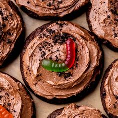 chocolate cupcakes with frosting and colorful candy worms on top are arranged in a circle