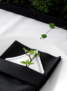 a white plate topped with a black napkin next to a green plant on top of a table