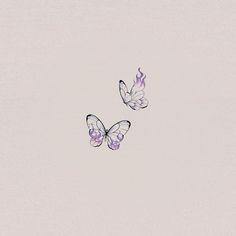 two purple butterflies flying in the sky with no one on it's back legs