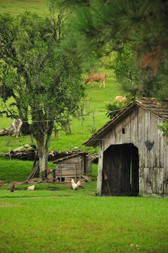 an outhouse in the middle of a field with animals grazing on grass and trees