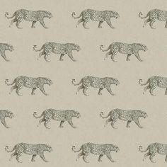 an image of a pattern of cheetah and leopards on the wallpaper