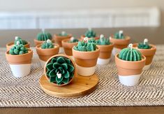 small potted cactus plants sitting on top of a wooden tray next to each other