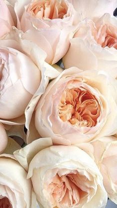 a bunch of pink flowers sitting on top of a table