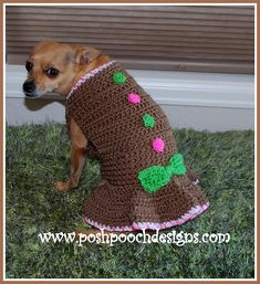 a small dog is wearing a crocheted coat with pom - poms