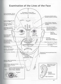 Ayurvedic Facial Diagnosis: What are the lines on your face revealing about your health? - Svastha Ayurveda Chinese Face Reading, Face Mapping Acne, Ayurveda Lifestyle, Point Acupuncture, Facial Nerve, Ayurveda Yoga, Face Mapping, Ayurvedic Healing, Face Reading