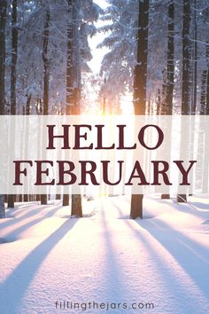 the words hello february are in front of snow covered trees and sun shining through them