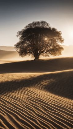 a lone tree in the middle of a desert